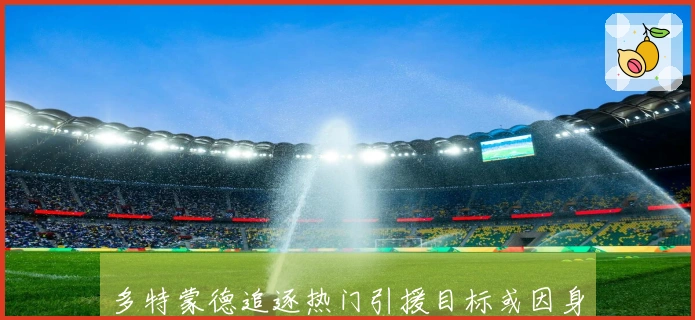 多特蒙德追逐热门引援目标或因身价过高而落空